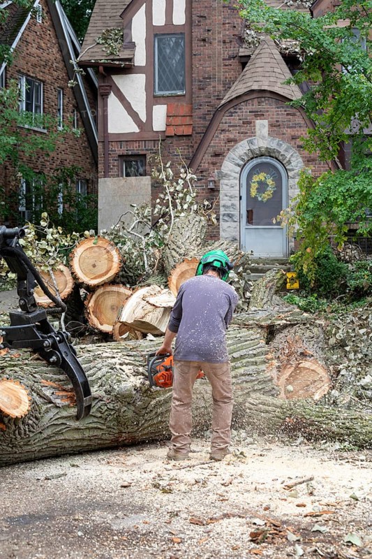 Detroit, Michigan, A storm with 70mph wind gusts blew down a 15-ton, 110-foot cottonwood, damaging three homes in the Morningside neighborhood. A dozen workers used two cranes, bucket trucks, and other equipment to remove the tree