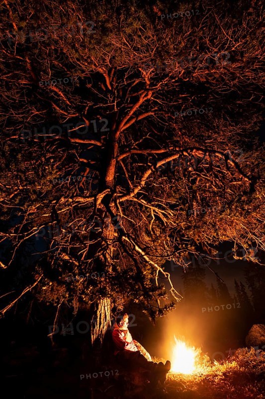 Man in the evening at a bivouac with campfire, Lapland, Sweden, Scandinavia, Europe