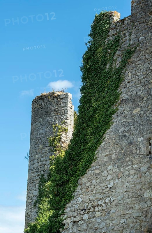 Billy. Fortified castle, showcasing medieval architecture from the 13th century in Allier department, Auvergne-Rhône-Alpes, France, Europe