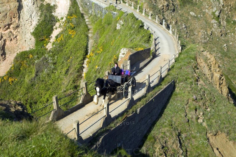 Horse and carriage cross La Coupee narrow track between Little Sark and Sark, Island of Sark, Channel Islands, Great Britain