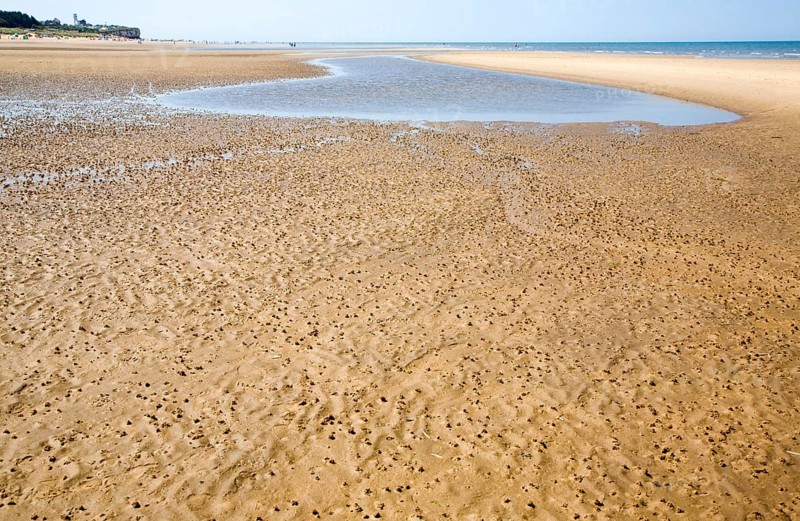 Worm casts in muddy sediment on the beach at Hunstanton, north Norfolk coast, England, United Kingdom, Europe