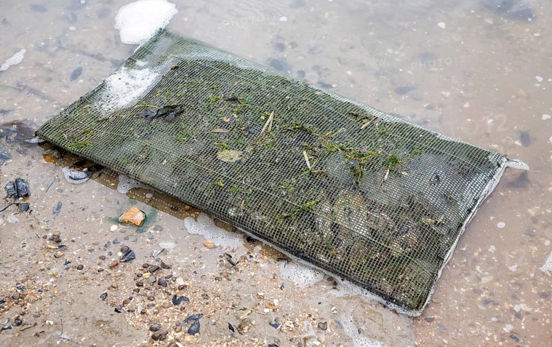 Flat caged nets for cultivating oysters on the River Deben, Suffolk, England, United Kingdom, Europe