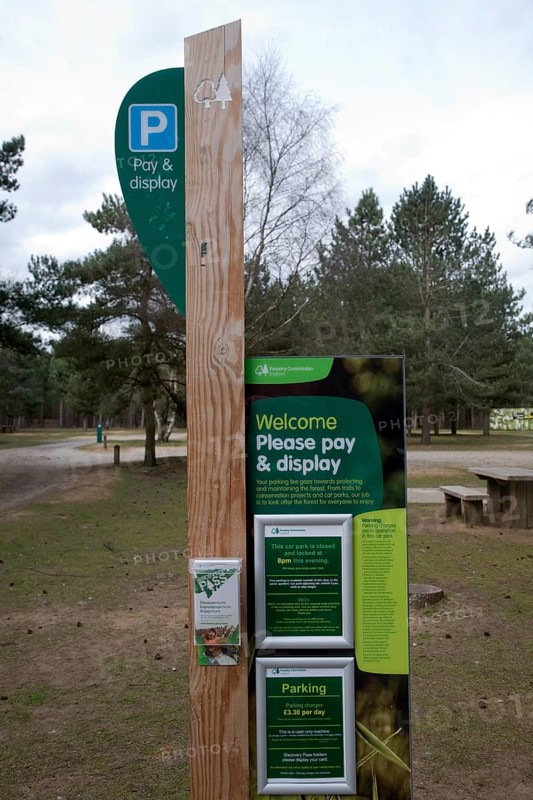 Parking meter in Forestry Commission land, Rendlesham Forest, Suffolk, England, United Kingdom, Europe