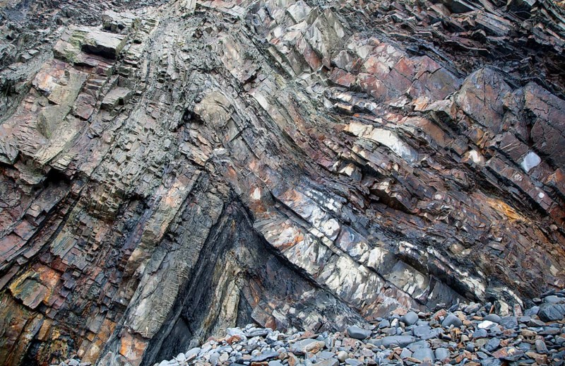 Complex folding of sedimentary rock strata in coastal cliffs at Hartland Quay, north Devon, England, United Kingdom, Europe