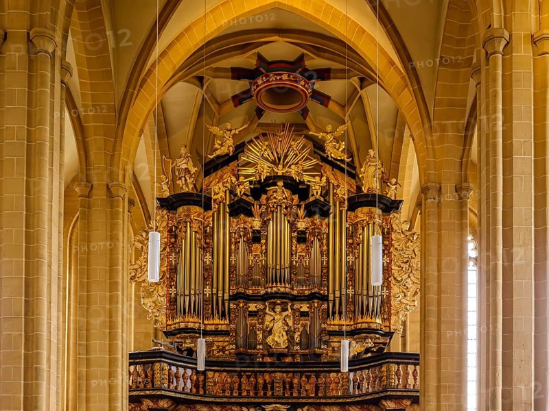 Organ by Johannes Klais in the baroque case by Johann Friedrich Wender, interior photograph of the Severikirche in Erfurt, Thuringia, Germany, for editorial use only, Europe