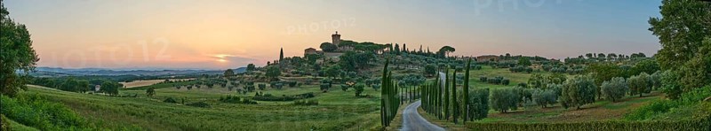 Road leading to the Palazzo massaini at sunset, Unesco world heritage site Val d´Orcia, Italy, Europe