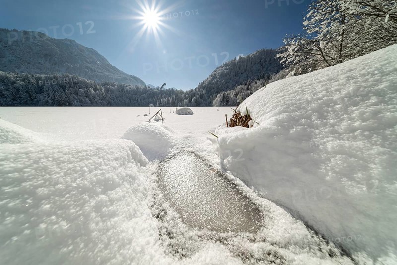 Freibergsee in winter, near Oberstdorf, behind it the Himmelschrofen, 1791m, and the Heini-Klopfer ski jump, Allgäu Alps, Oberallgäu, Allgäu, Bavaria, Germany, Europe