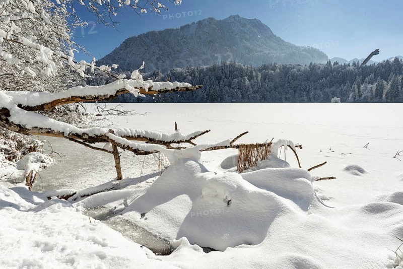 Freibergsee in winter, near Oberstdorf, behind it the Himmelschrofen, 1791m, and the Heini-Klopfer ski jump, Allgäu Alps, Oberallgäu, Allgäu, Bavaria, Germany, Europe