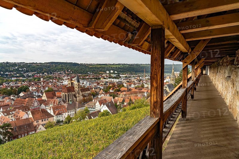 View from the city wall of the castle over vineyard to Esslingen am Neckar, Baden-Württemberg, Germany, Europe