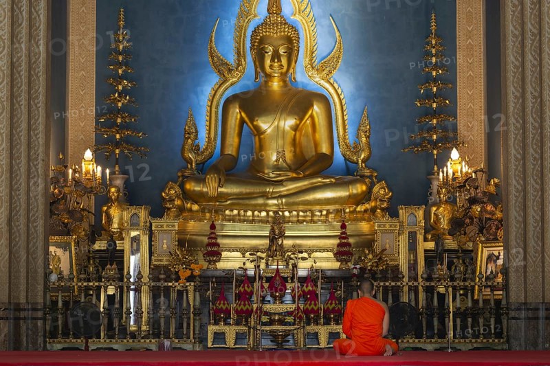 Monk meditating, Golden Buddha statue, Bhumispara-mudra, Buddha Gautama at the moment of enlightenment, in the marble temple, Wat Benchamabophit, Bangkok, Thailand, Asia