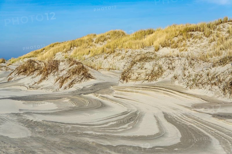 The East Frisian North Sea island of Juist in winter, dunes on the western part of the island, at Billriff, Lower Saxony, Germany, Europe