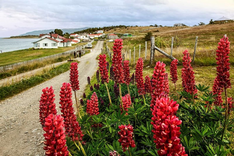Estancia Harberton, Beagle Channel, Ushuaia, Argentina, South America