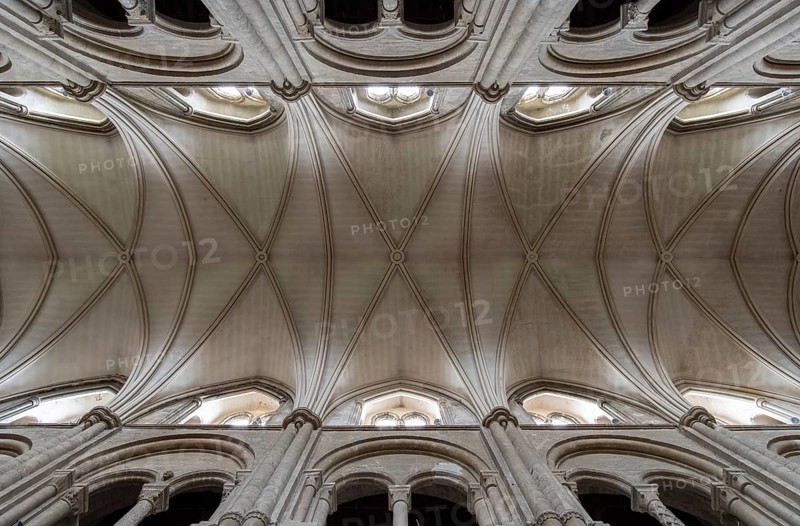 Christchurch Priory, vaults in the nave