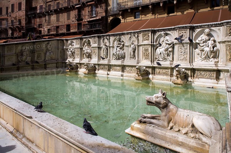 Siena, Piazza del Campo