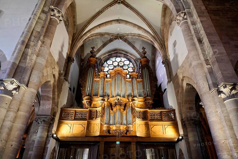The Lutheran Church of St Thomas, Église Saint Thomas de Strasbourg, Alsace, Magnificent organ in the church interior, flanked by Gothic arches with a decorative rose window, Strasbourg, Strasbourg, Bas-Rhin, Alsace, Alsace, France, Europe