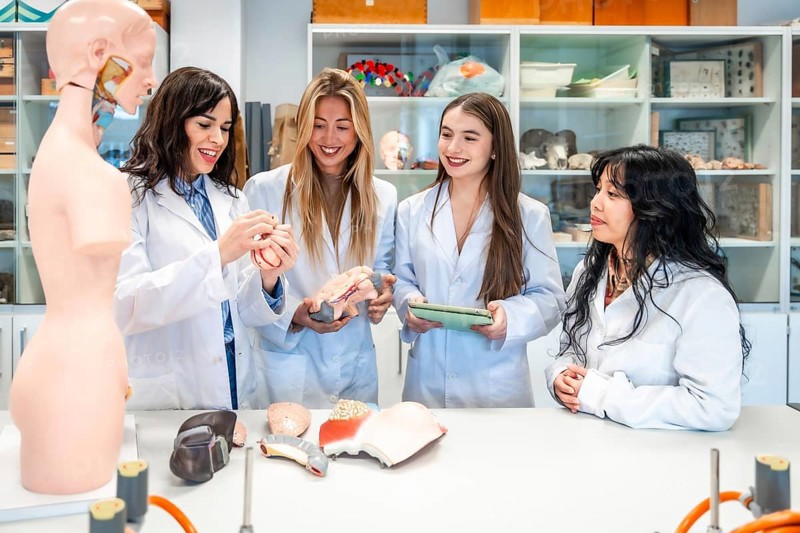 Four smiling female medical students examining anatomical models in a university laboratory, learning about human body systems