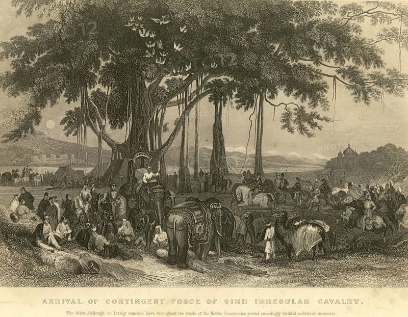 Military and munity mutiny views arrival of contingency force of Sikh irregular cavalry, India, Asia