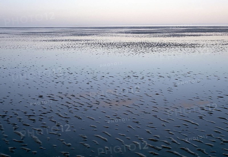 Wadden Sea, low tide, water, vastness, natural landscape