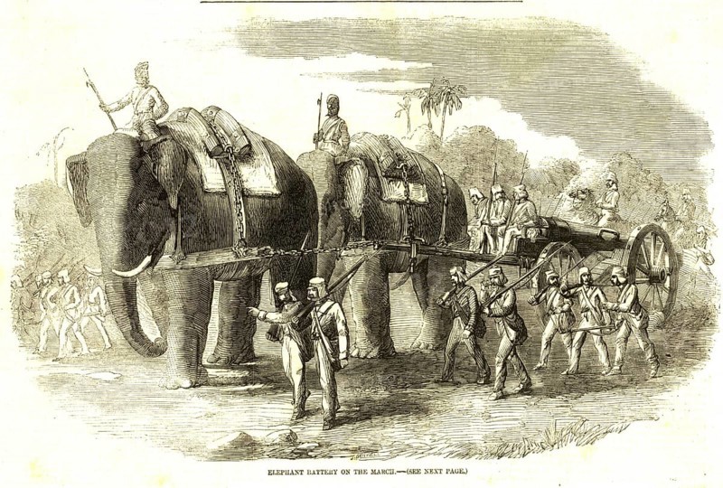 Military and munity mutiny views elephant battery on march, India, Asia