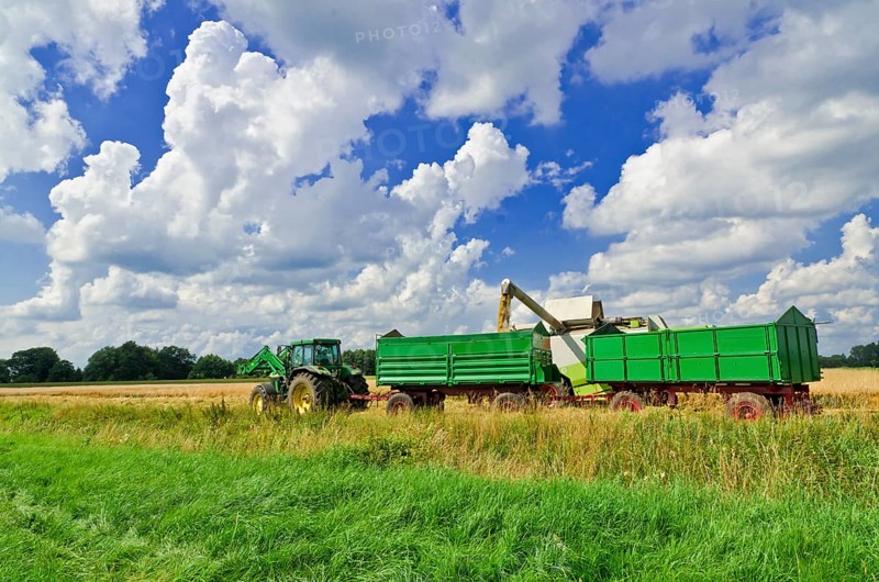 Combine harvester