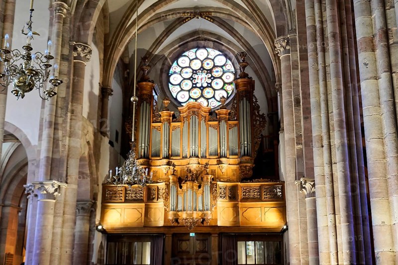 The Lutheran Church of St. Thomas, Église Saint Thomas de Strasbourg, Alsace, Sublime organ with a colourful window and Gothic architectural elements, Strasbourg, Strasbourg, Bas-Rhin, Alsace, Alsace, France, Europe