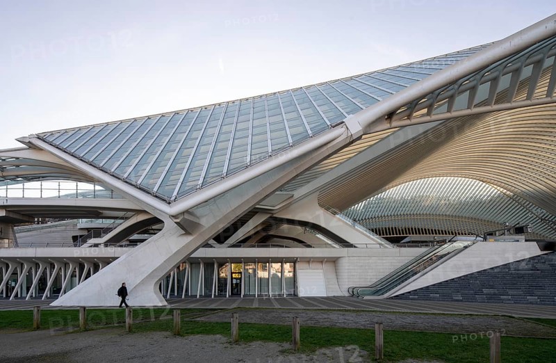 Liège, Liège-Guillemins railway station, design 2009 Santiago Calatrava, concrete pillars and struts for the roof