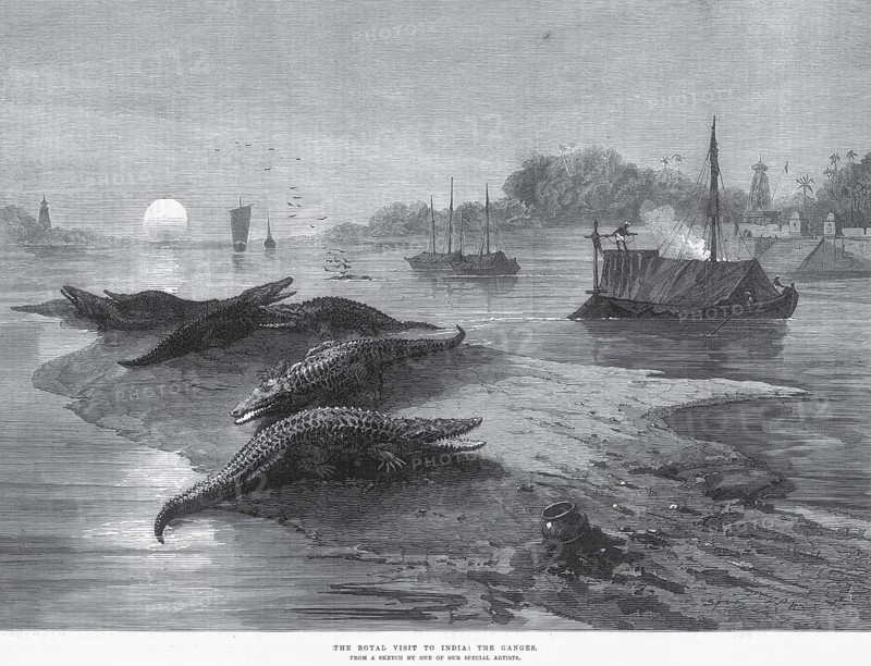 Hunting & animal views, the royal visit, the ganges, India, Asia