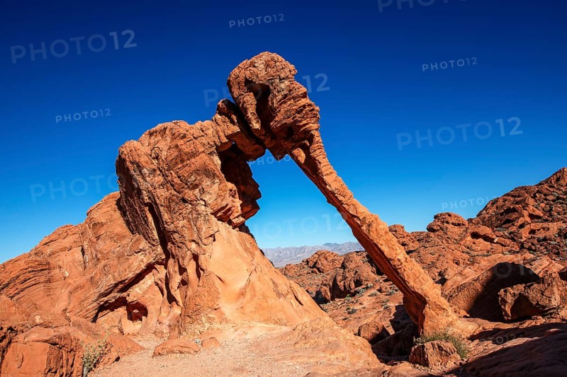 Elephant Rock, Valley of Fire State Park, Nevada, USA, North America