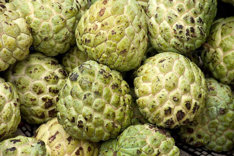 Heap of custard apple annona squamosa, Ozar, Pune, Maharashtra, India 2010