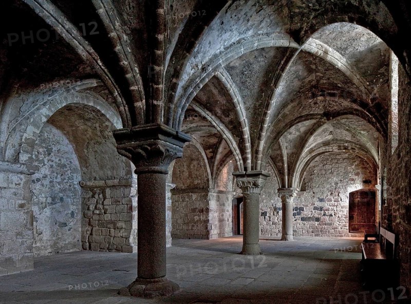 Monks' cloister, used as a cloister in the eleventh and twelfth centuries, view to the east, St., Sankt, Saint