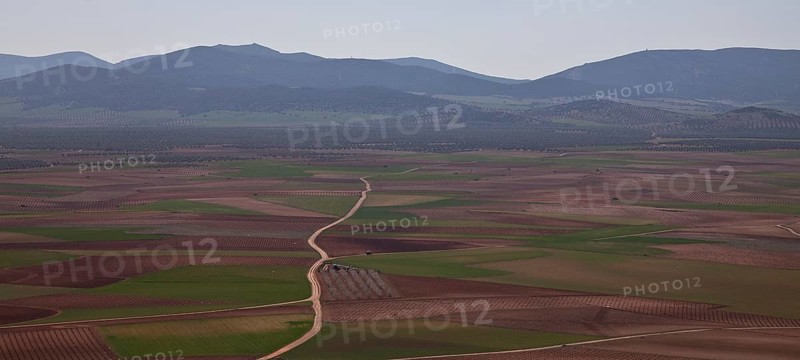 West of Consuegra, the Sierra de la Dehesa on the horizon
