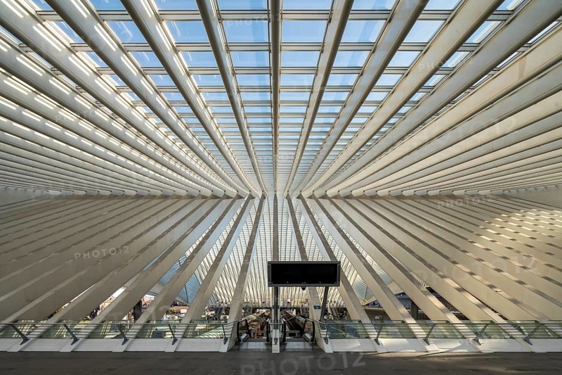 Liège, Liège-Guillemins railway station, design 2009 Santiago Calatrava, concrete pillars of the station concourse