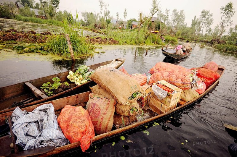 Vegetables on canoe in dal lake, Srinagar, Jammu and Kashmir, India, Asia