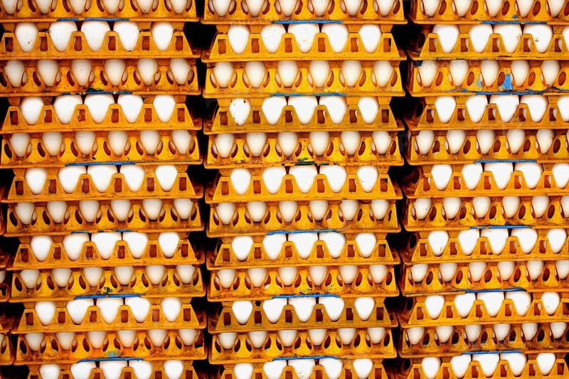 Eggs in trays, India, Asia