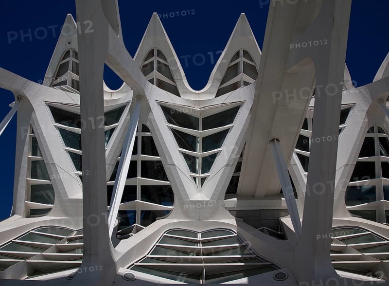 City of Arts and Sciences (cat./val. Ciutat de les Arts i de les Ciències), MUSEO DE LAS CIENCIAS, decorative concrete structure in front of the south-western longitudinal façade
