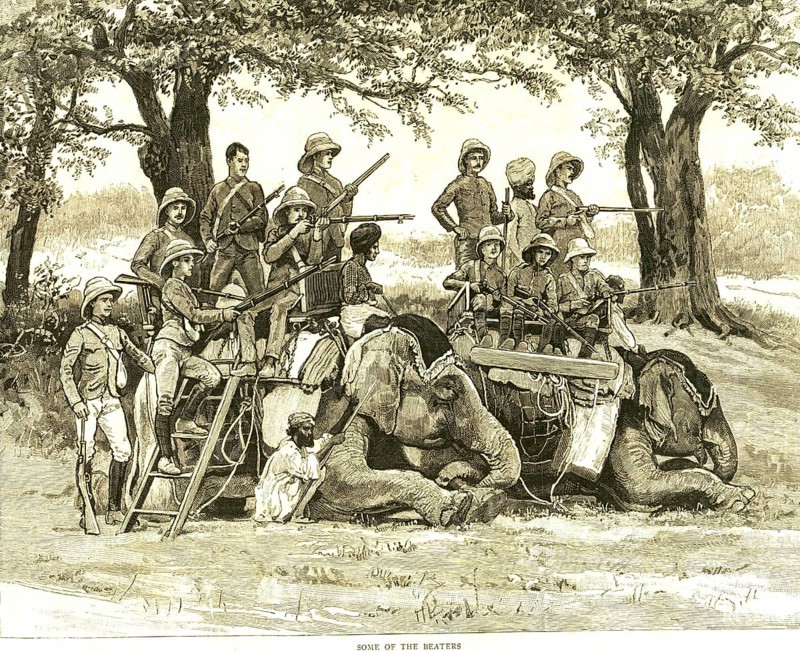Hunting & animal views, some of the beaters, India, Asia