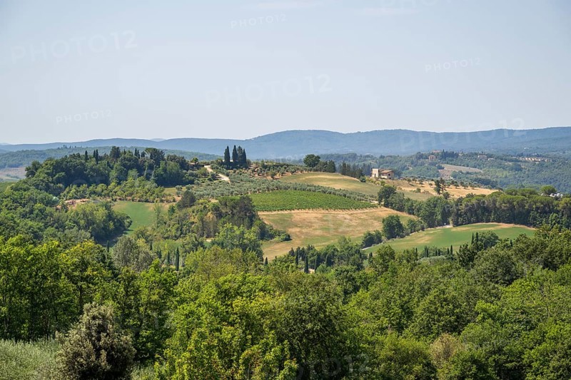 Tuscan landscape, country estate with vineyards, forests, olive trees and cypresses in Chianti, Chianti Region, Tuscany, Italy, Europe