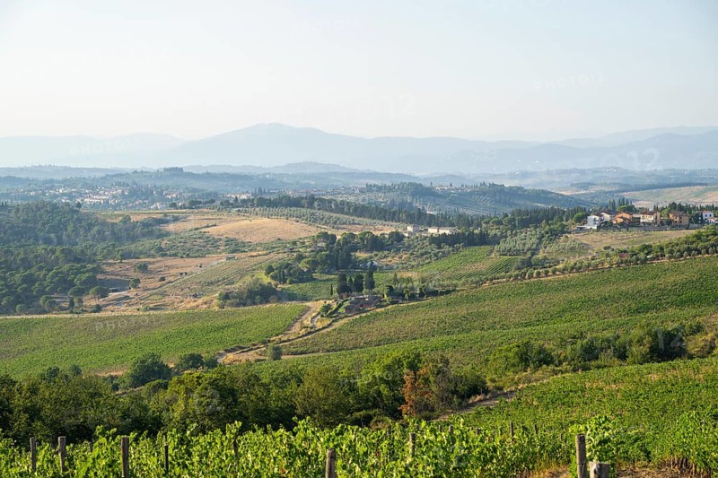 Tuscan landscape, country estate with vineyards, forests, olive trees and cypresses in Chianti, Chianti Region, Tuscany, Italy, Europe