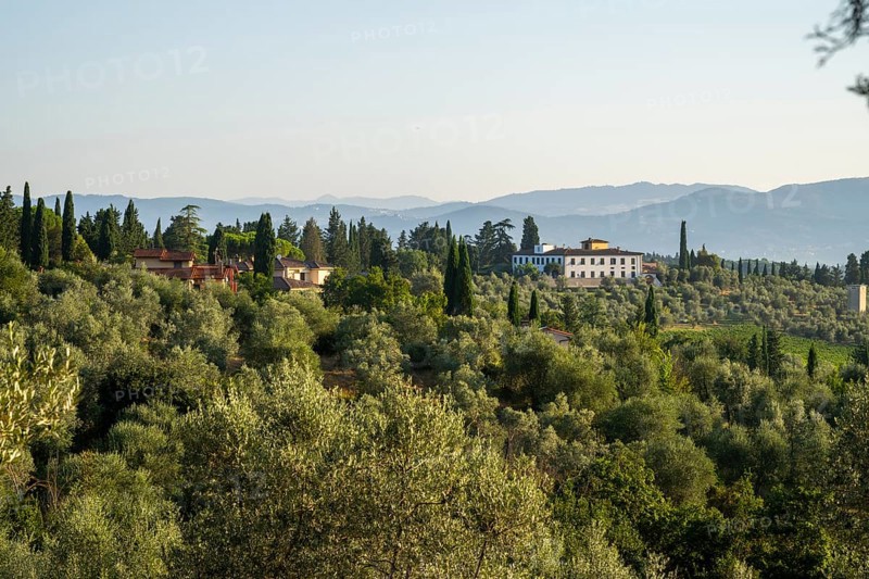 Tuscan landscape, country estate with a farm house, olive trees and forests in Chianti, Chianti Region, Tuscany, Italy, Europe
