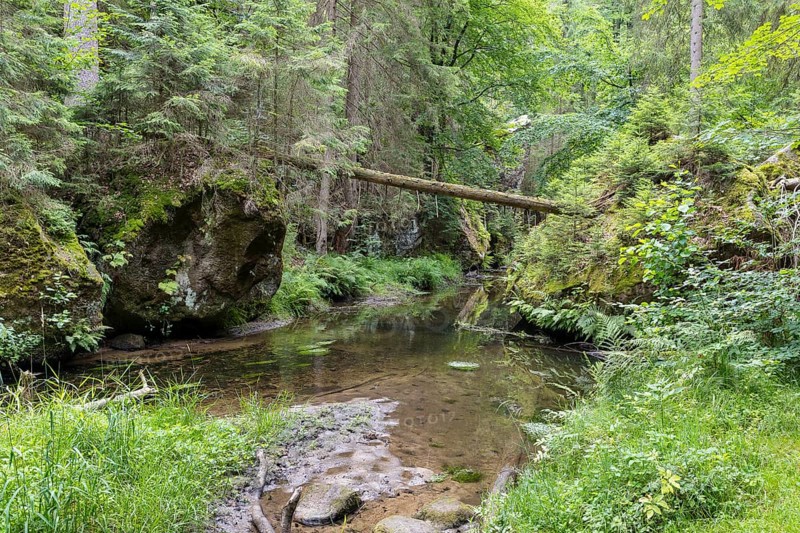 Kirnitzsch in the Kirnitzsch Valley, Sebnitz, Saxon Switzerland, Saxony, Germany, Europe