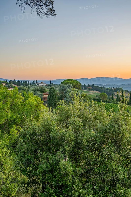 Tuscan landscape at sunrise, country estate with vineyards, forests, olive trees and cypresses in Chianti, Chianti Region, Tuscany, Italy, Europe