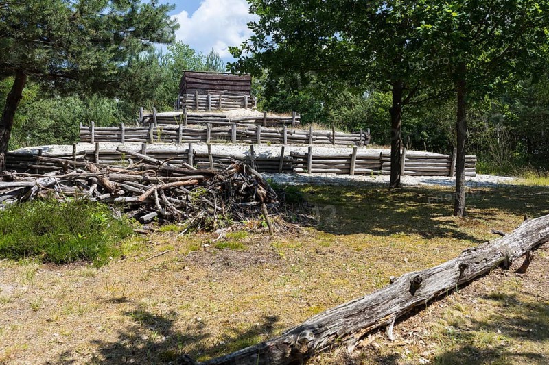 Deadwood park in the disused part of the Caminau kaolin mine, Königswartha, Saxony, Germany, Europe
