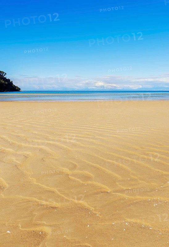 Bark Bay, Abel Tasman National Park, Nelson Region, South Island, New Zealand, Oceania