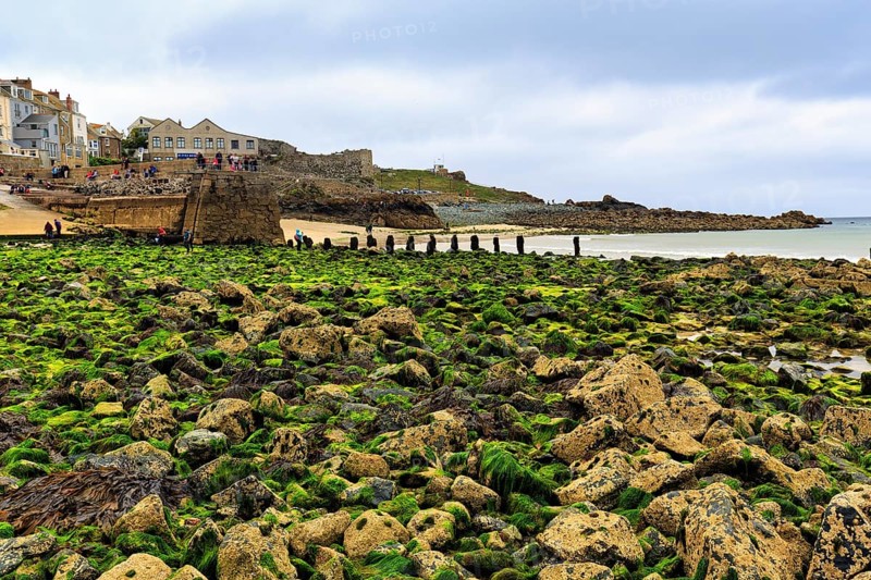 Boulders, seaweed, seaweed, St. Ives Bay, coastline, West Cornwall, England, Great Britain