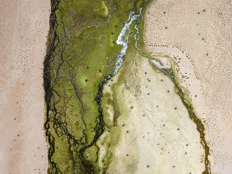 Rio Punilla, Los Nacimientos, Catamarca Province, Argentina, Top view of a desert landscape featuring green and brown textures, South America, Aerial view of intricate green patterns in sand, creating an abstract desert look, South America, Argentina, South America