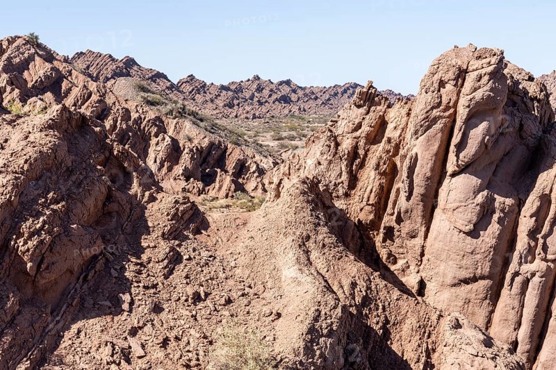 La Ciénaga Natural Area, San Juan Province, Argentina, South America