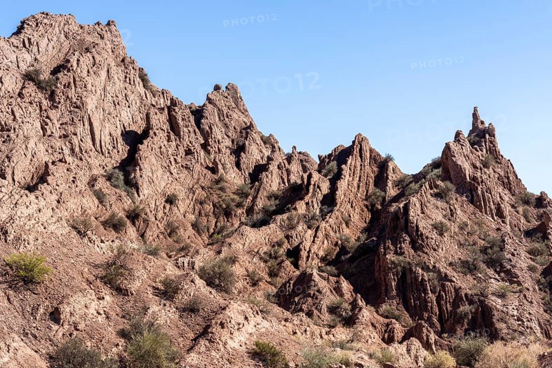 La Ciénaga Natural Area, San Juan Province, Argentina, South America