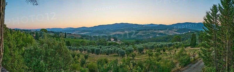 Tuscan landscape at sunrise, country estate with vineyards, forests amd olive trees in Chianti, Chianti Region, Tuscany, Italy, Europe