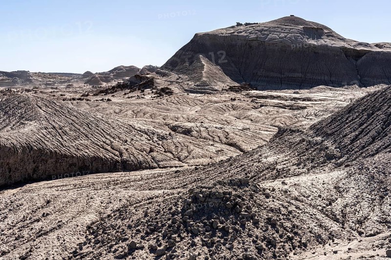 Ischigualasto Provincial Park, Villa San Agustín, San Juan Province, Argentina, South America