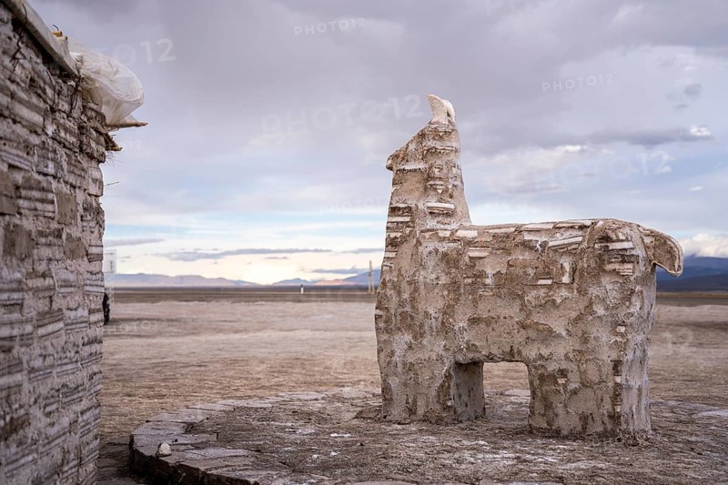 Llama salt sculpture, Salinas Grandes, Salta Province, Argentina, South America